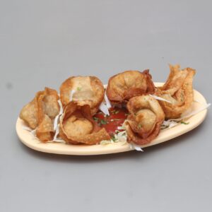 Chicken Fried Wonton