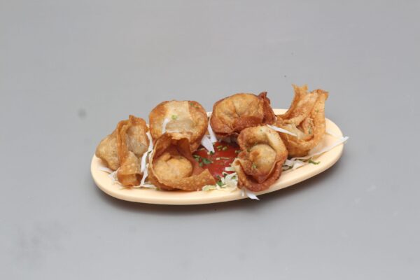 Chicken Fried Wonton